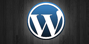 WordPress Development
